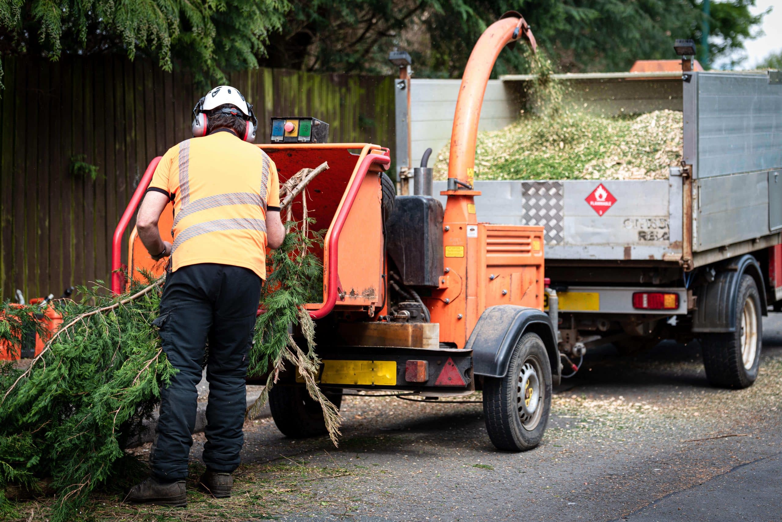 Tree Stump Grinding/Removal Sydenham SE26